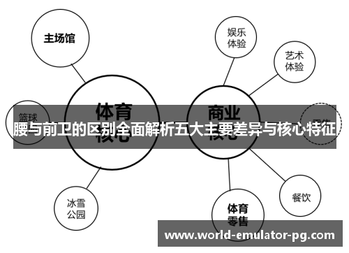 腰与前卫的区别全面解析五大主要差异与核心特征