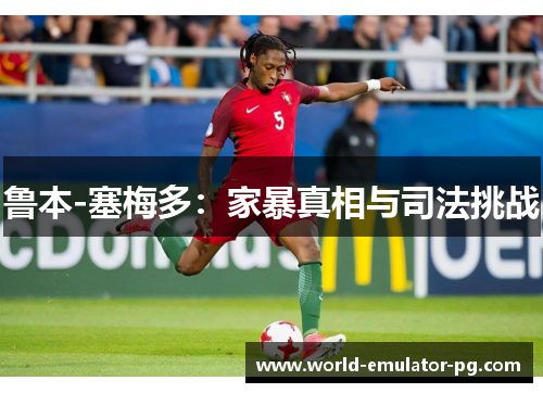 鲁本-塞梅多:家暴真相与司法挑战 鲁本-塞梅多:家暴真相与司法挑战