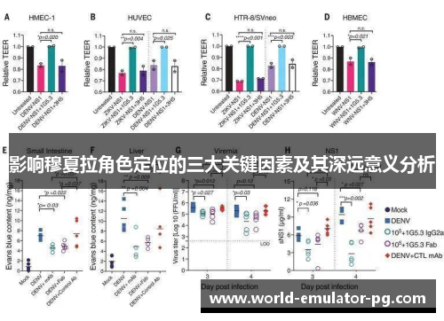 影响穆夏拉角色定位的三大关键因素及其深远意义分析 影响穆夏拉角色定位的三大关键因素及其深远意义分析
