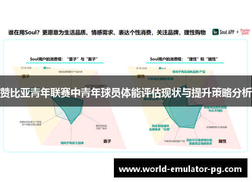 赞比亚青年联赛中青年球员体能评估现状与提升策略分析 赞比亚青年联赛中青年球员体能评估现状与提升策略分析
